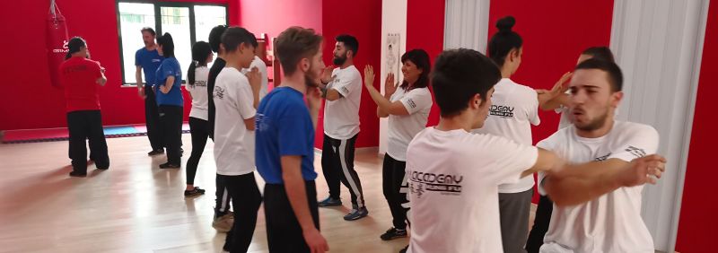 Stage Wing Chun San Severo con Sifu Mezzone della Kung  Fu Academy Caserta Italia (4)